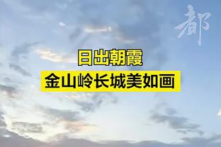 阿姆拉巴特：最喜欢的中场是哈维、齐达内、斯科尔斯、基恩和图雷